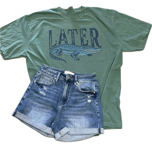 Lucinda Denim Shorts (Medium)