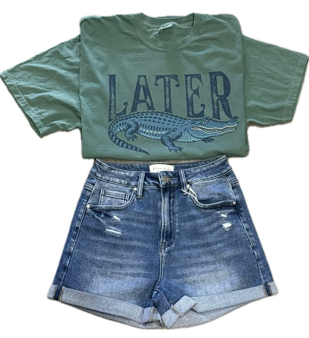 Lucinda Denim Shorts (Medium)